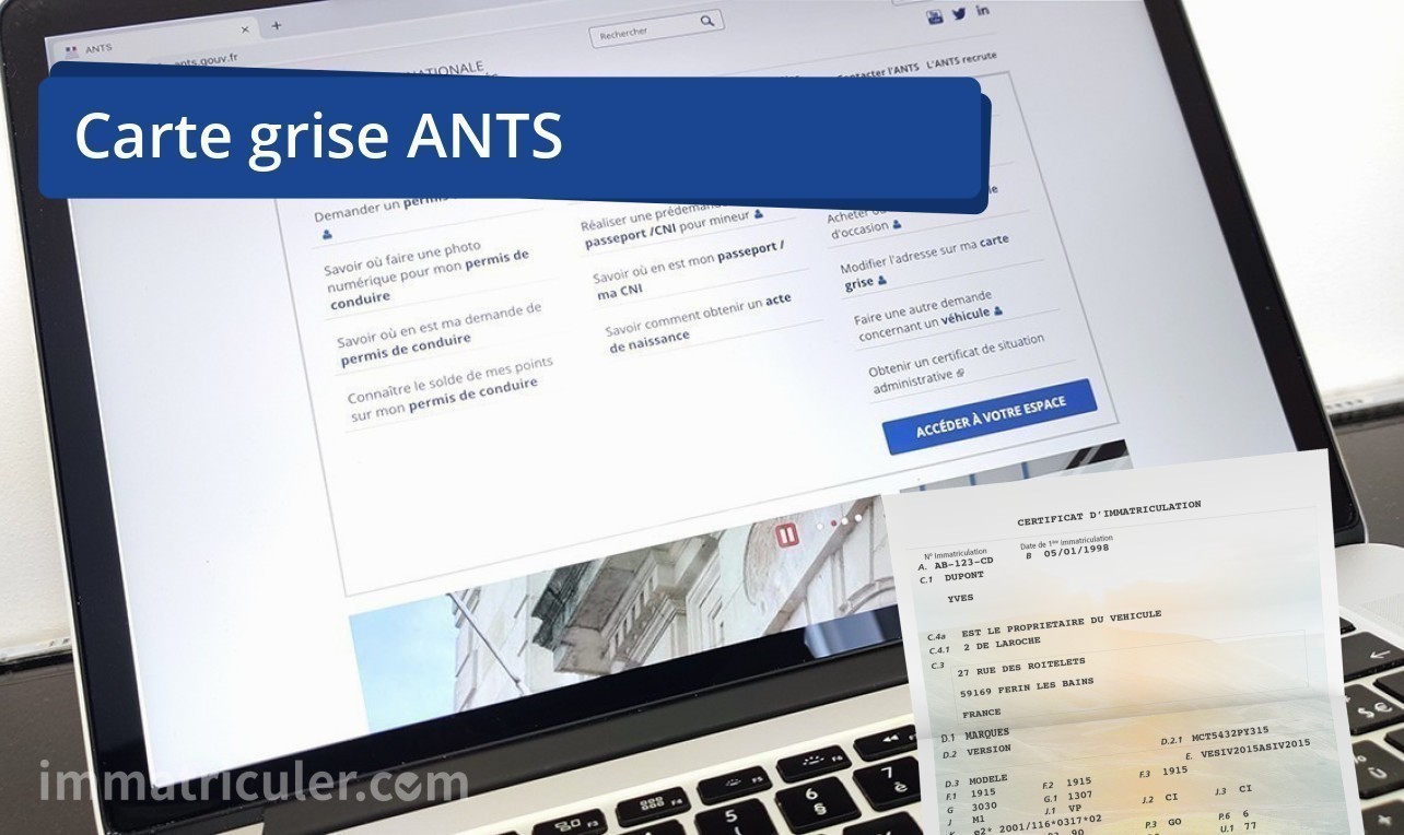 ants carte grise