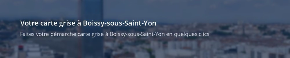 Immatriculation à Boissy-sous-Saint-Yon