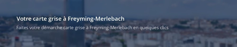 Immatriculation à Freyming-Merlebach