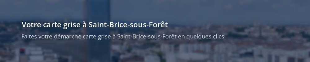 Immatriculation à Saint-Brice-sous-Forêt