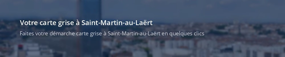 Immatriculation à Saint-Martin-au-Laërt