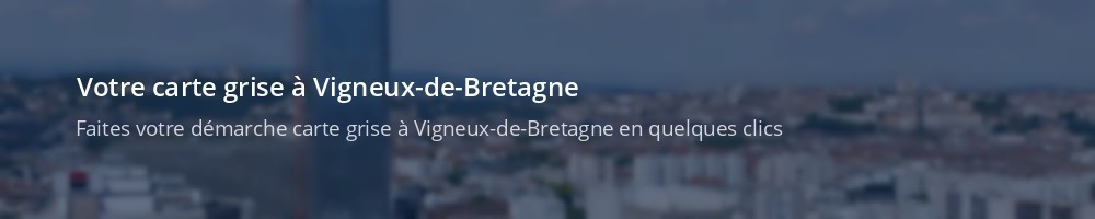 Immatriculation à Vigneux-de-Bretagne