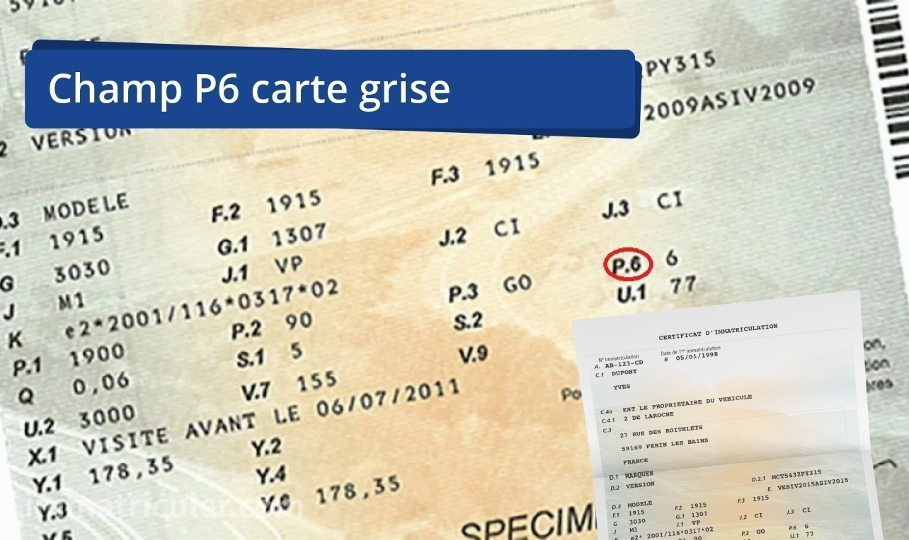 Champ P6 Sur La Carte Grise Quoi Correspond il