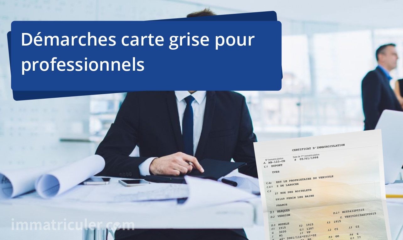 demarches carte grise pour professionnel