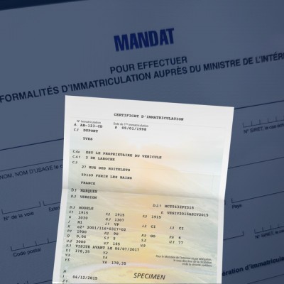 mandat immatriculation