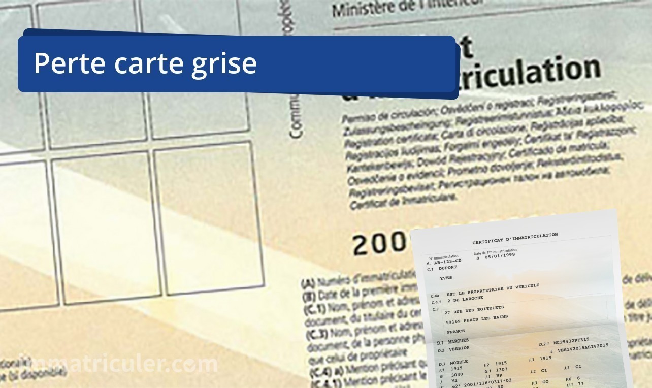 perte carte grise