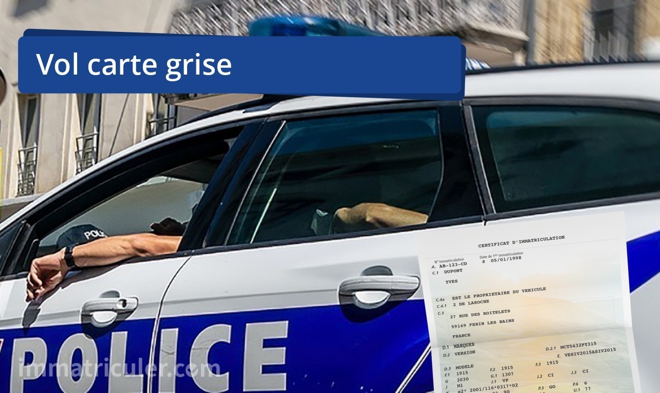 vol carte grise